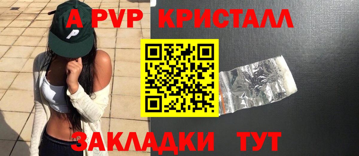 Alpha PVP СК КРИС Киров