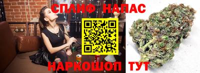 прущий лед Беслан