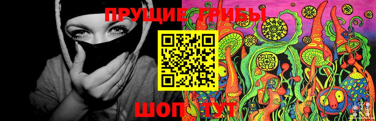 Киров  Псилоцибиновые грибы прущие грибы  Вход с VPN 