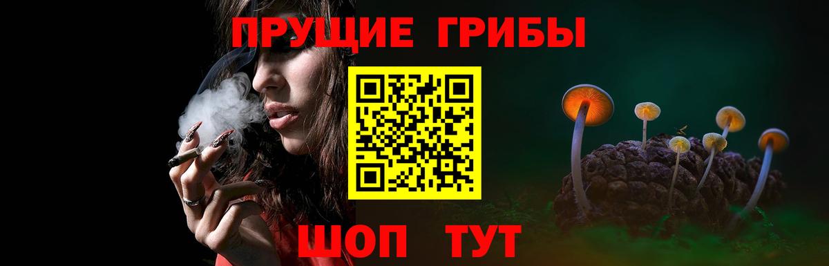 Галлюциногенные грибы Psilocybine cubensis Киров